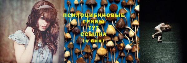 дмт Армянск