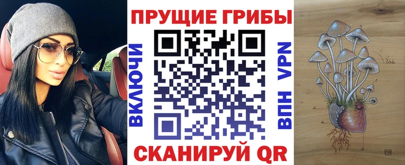 купить наркотик Тара Псилоцибиновые грибы MAGIC MUSHROOMS